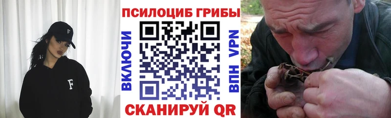 Галлюциногенные грибы мицелий  хочу   Грязовец 